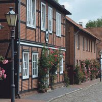 Rosenblüte in der Pastorenstraße Bad Bevensen