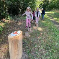 Hüpfspiel Waldkugelbahn