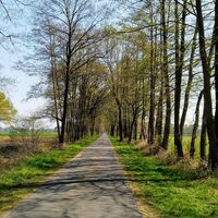 Prälatenweg