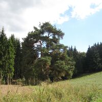 Arbesbach - Schönbach