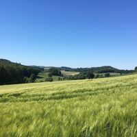 Blick nach Mellen im Mühlbachtal