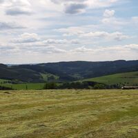 Gemähte Wiese über Wunderthausen