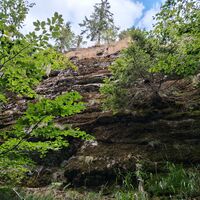 Steile Felsenwand unterhalb des Kleinalmeyerschlosses
