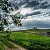 Blick zum Aussichtspunkt Gupfen