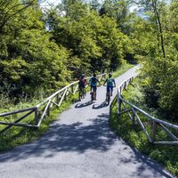 Sentiero Valtellina in Sondrio