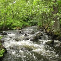 Der Naturlehrpfad des Urpola Naturzentrums