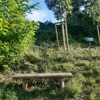 Pausenbank beim Naturgebiet Kirschenberg auf den VitalWegen 5 und 22