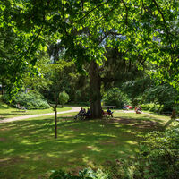 Der Kurpark in Bad Sachsa