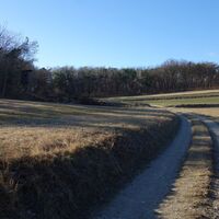 Breite, Blick zum Bannholzwald