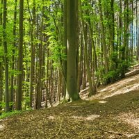 Freilichtbühne Kahle Wart Wanderweg