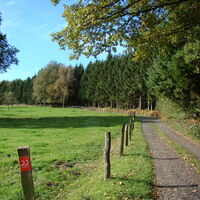 Weg am Waldrand entlang