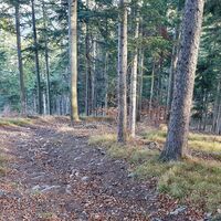 12.6 km Steile Abfahrt zur Hittn