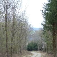 Abstieg vom Am Hirschen