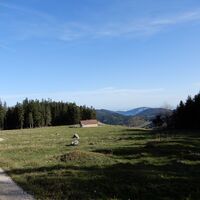 Rohrbach im Graben - Vinzenzkapelle - Waldwiesen - Himbergerhaus - Rohrbach i. Graben