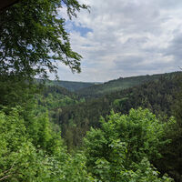 Aussicht in das wunderschöne Würmtal