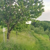 Himmel Erden Weg
