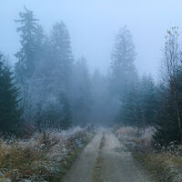JOSEFOVA CESTA_25. 11. 2020