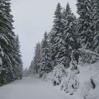 Mautstraße im Aufstieg