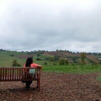 Panorama vom Bosco delle Turriglie (Chieri - TO)