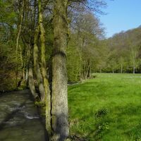 Hanfbachtal