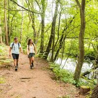 Wandern entlang der Örtze