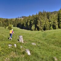 Der Aufstieg führt über eine Wiese