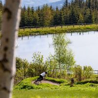 Singletrail by Wexl Trails #7