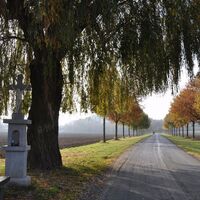 Allee zum Gut Umschoss