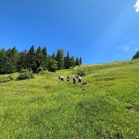 Aufstieg Richtung Hauser Joch