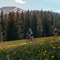 Mountainbiken bei der Alpe Mittelberg
