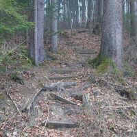 Weißn Trail - Nußbach