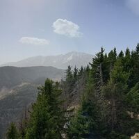 "Öhler" am Weg zum "Schober"