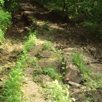 Salzgitter, weiterer morastiger Aufstieg zum Kammweg Wanderweg Nr. 15