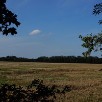 Lobau/Lobgrund - Groß Enzersdorf