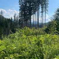 L3 Rinnerberger Trail
