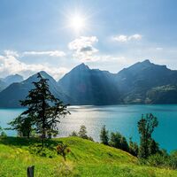 Wanderung mit Aussicht in Sisikon am Urnersee