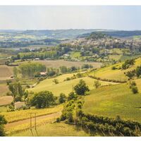 Weg des Lautrec-Knoblauchs