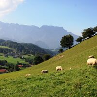 Ausblick auf das Untersbergmassiv