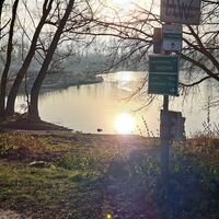 beim Donaualtarm vor dem Übergang Brücke