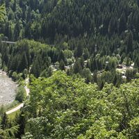 inmitten hoher Tannen und am Rhein gelegen
