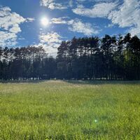 Lichtspiel