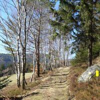 Herzsteinweg