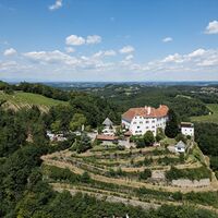 Schloss Kapfenstein am Vulkankegel