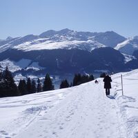 Schlitteln und wandern gemeinsam