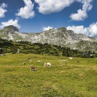 Sonnschienalm mit dem markanten Gipfel des Ebensteins