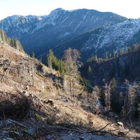 Rückweg von der Weißalm
