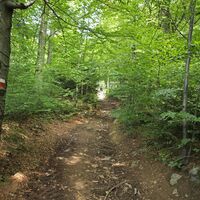 Wanderweg