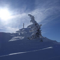 Föhnstimmung am Gipfel des Gamskopf