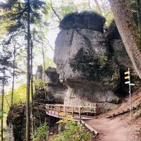 Klosterfelsenweg, Donaufelsenläufe