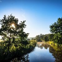 Die Wümme in der Flussniederung von Rotenburg (Wümme)